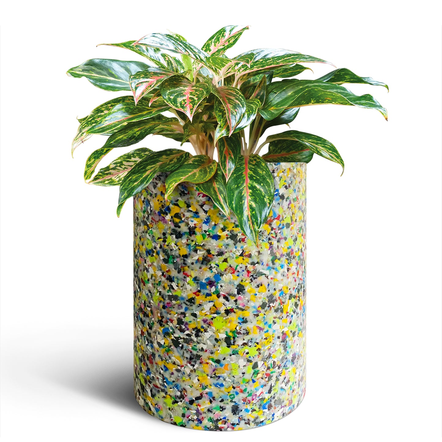 Recycled Riser 320mm