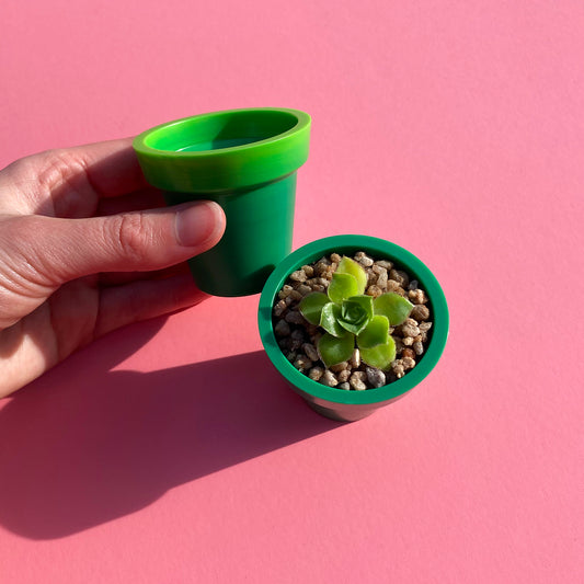 Mini succulent terracotta shaped pots made from recycled plastic