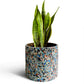 Recycled Riser 320mm