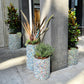 Upcycled plastic plants by Precious Plastic Melbourne | Victoria, Australia